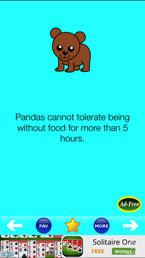 Animal Fun Facts