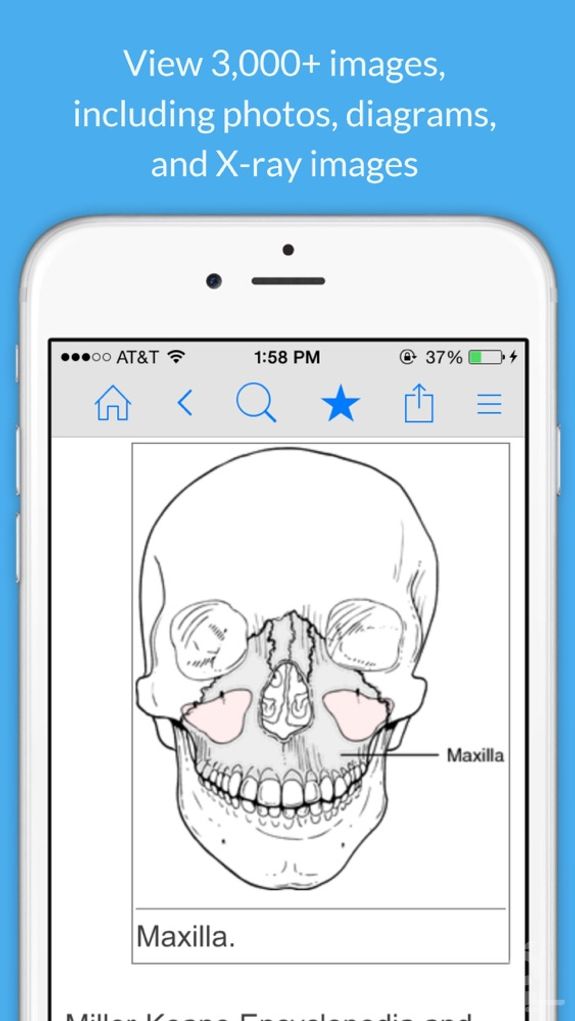 Dental Dictionary by Farlex