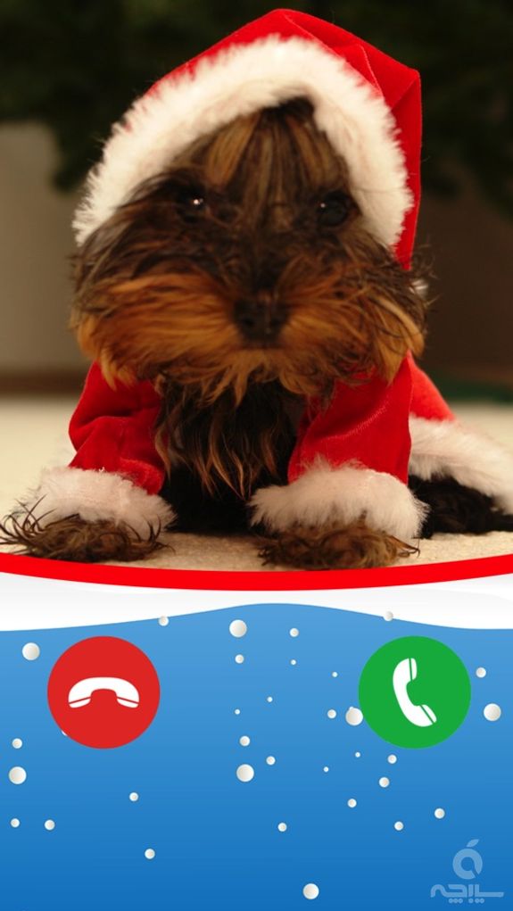 The Baby Santa Claus Calls Me