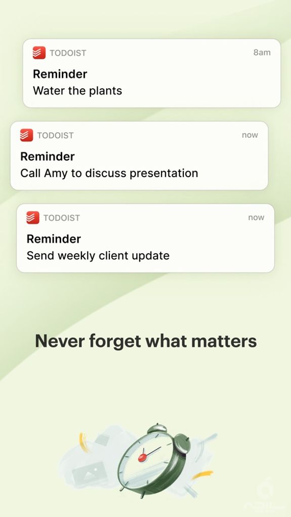 Todoist: To-Do List & Tasks