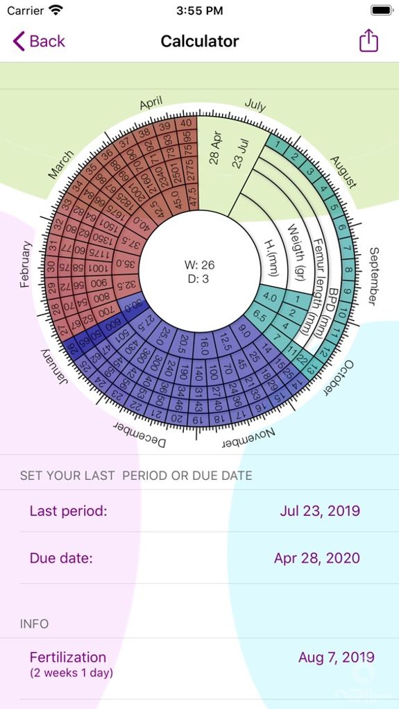 My Pregnancy Calendar