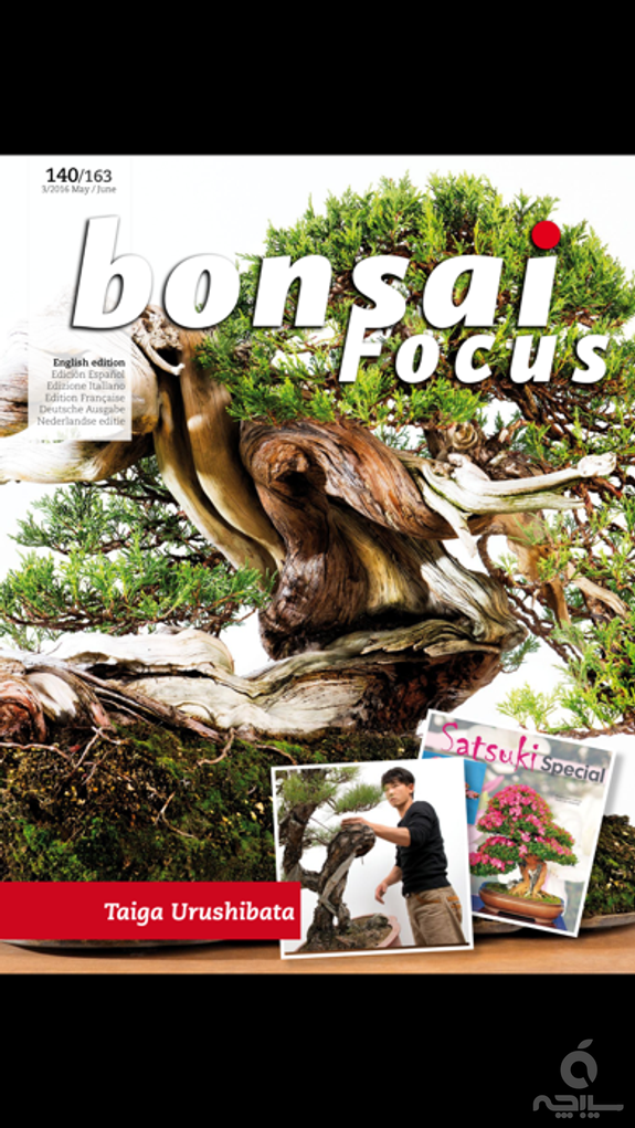 Bonsai Focus EN