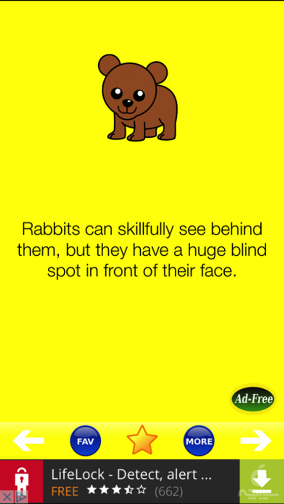 Animal Fun Facts